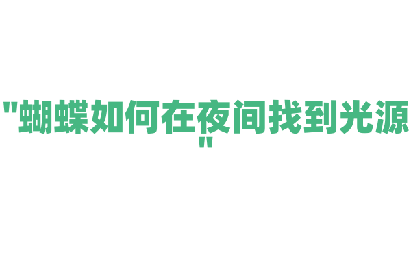 "蝴蝶如何在夜间找到光源"